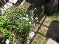 RIMG0078