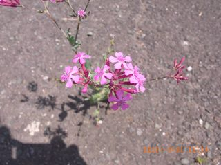 RIMG0211