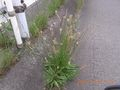 RIMG0237
