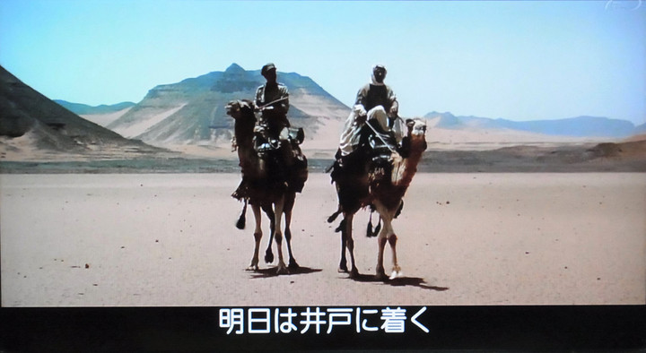 ここでも道草 : 気候帯「砂漠気候」を教えるのに映画「アラビアの