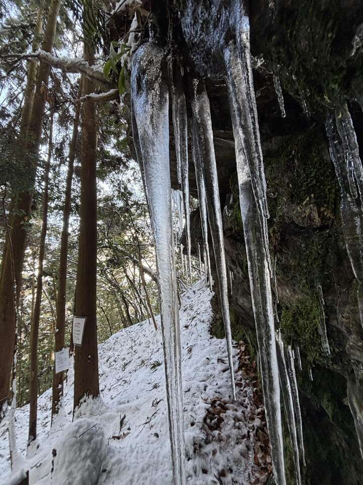 DRT 氷柱 ここでも道草 : 20250211本城山登山⑤ 白滝で氷柱（つらら）を見る