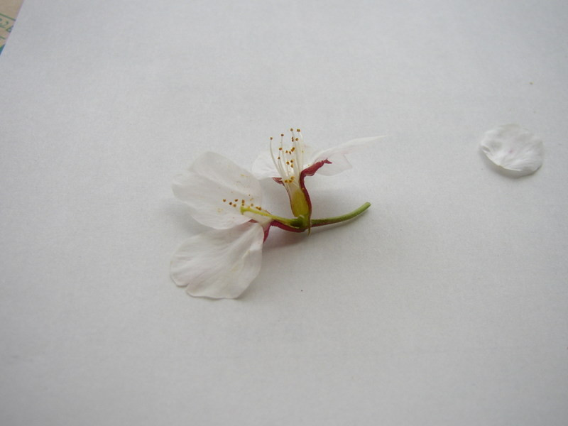 P4040015