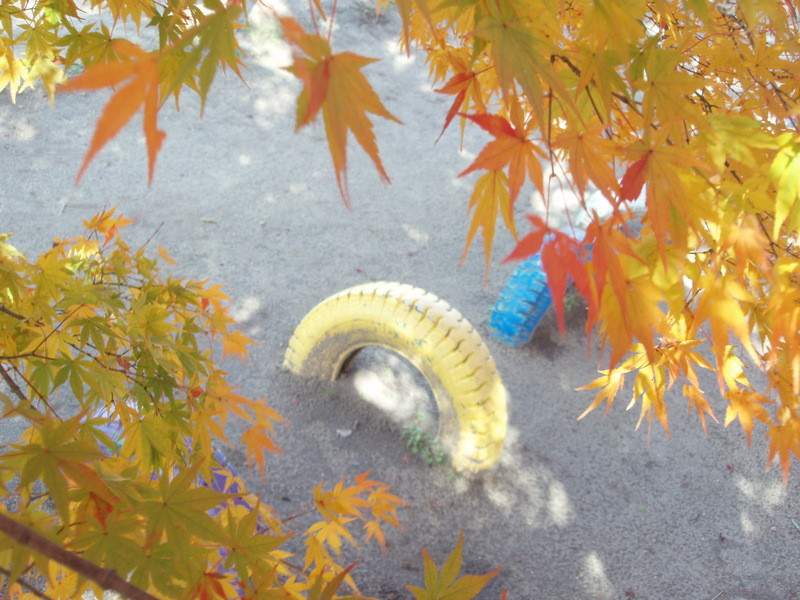 Pb300028_2 Pb300028_2