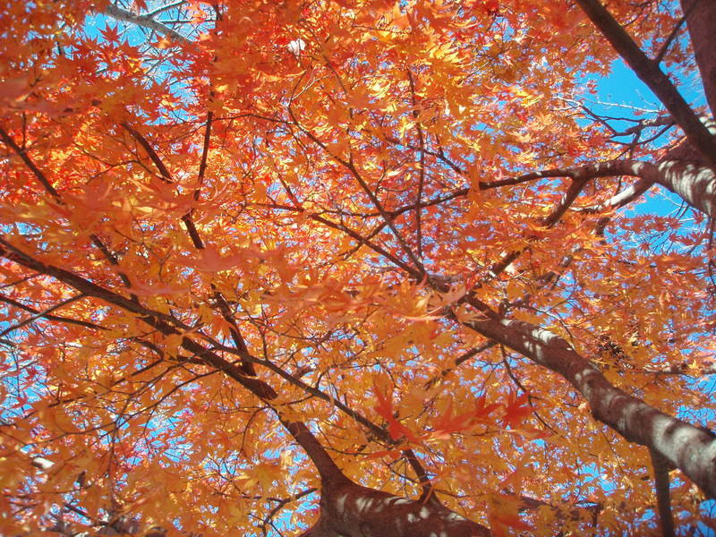 Pb300077_2 Pb300077_2