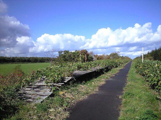 Hikoujoumae_station_2009