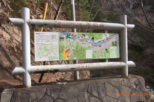 Rimg0332_2