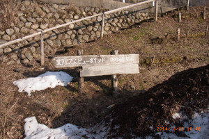 Rimg0349