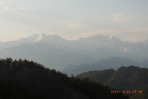 Rimg0352