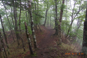 Rimg2285
