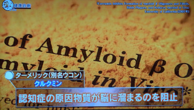 Rimg2138