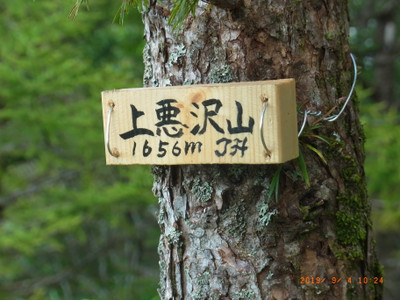 Rimg2154