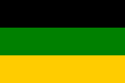 220pxflag_of_the_african_national_c