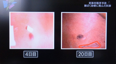 Rimg2206