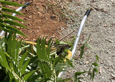 Img_2413_2 Img_2413_2