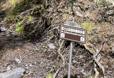 Img_3013_2 Img_3013_2