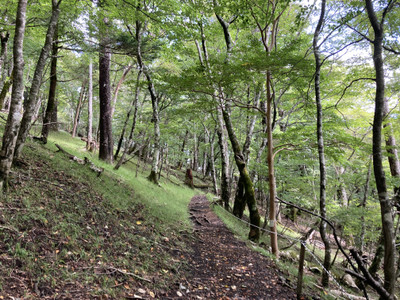 Img_3023_2 Img_3023_2