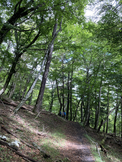 Img_3024_2 Img_3024_2