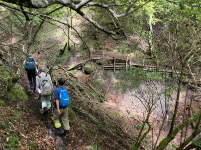 Img_3025_2 Img_3025_2