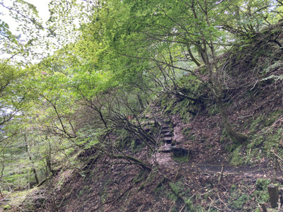 Img_3026_2 Img_3026_2