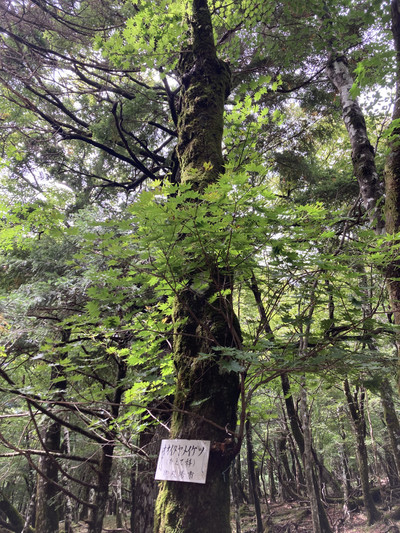 Img_3027_2 Img_3027_2