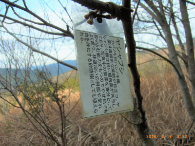 Img_3706_2 Img_3706_2