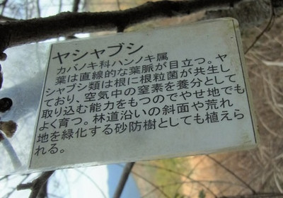 Img_3706_3 Img_3706_3