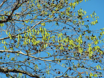 Img_3707_2 Img_3707_2