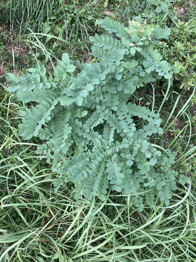 Img_3092_2 Img_3092_2