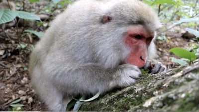 Img_3902_2 Img_3902_2