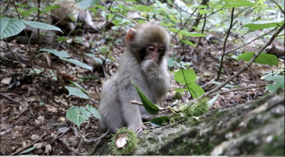 Img_3905_2 Img_3905_2