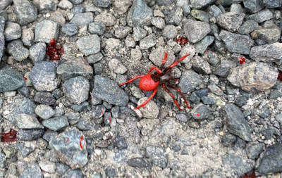 Img_3413_2 Img_3413_2