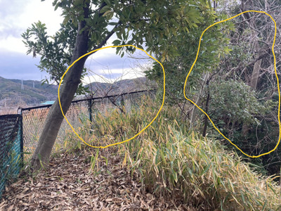 Img_4364_2 Img_4364_2