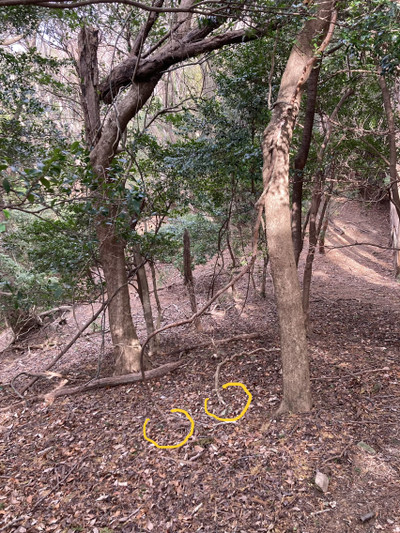 Img_4396_2 Img_4396_2