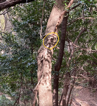 Img_4396_3 Img_4396_3