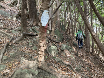 Img_4398_2 Img_4398_2