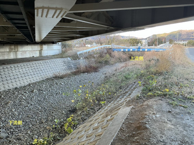 Img_5894_3 Img_5894_3