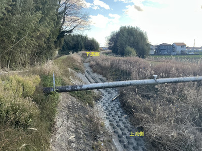 Img_5895_2 Img_5895_2