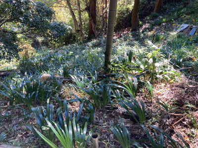 Img_3916_2 Img_3916_2