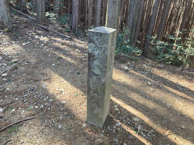 Img_0308_2 Img_0308_2