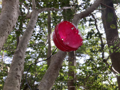 Img_4626_2 Img_4626_2