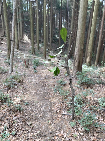 Img_4631_2 Img_4631_2