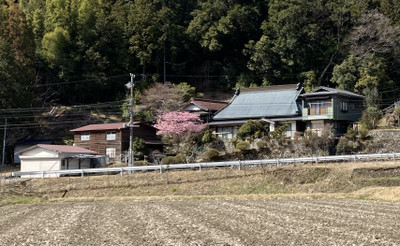 Img_5484_2 Img_5484_2