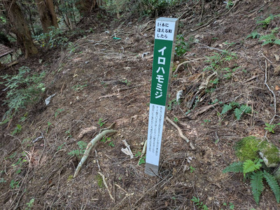 Img_3495_2 Img_3495_2