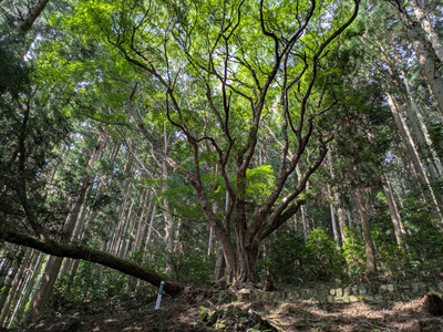 Img_3497_2 Img_3497_2