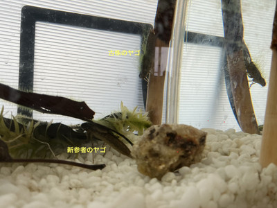 Img_8050_2 Img_8050_2