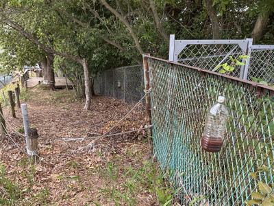 Img_8130
