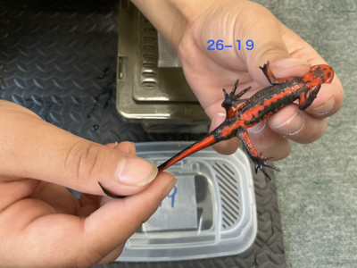 Img_8622