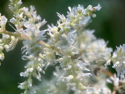 Img_1986