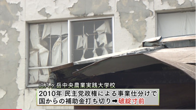 Img_9381 Img_9381