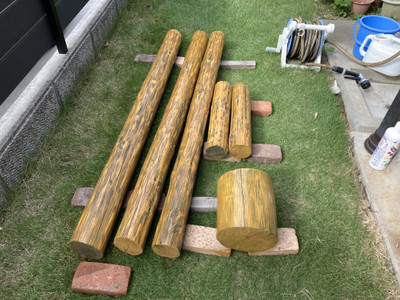 Img_8338 Img_8338